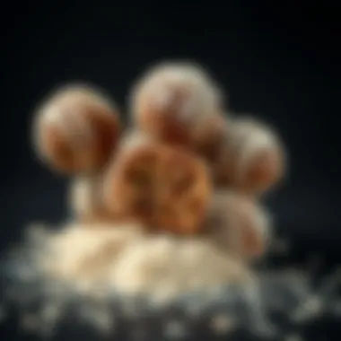 Magnificent Exploring the Versatility of Energy Balls with Protein Powder Magnificent Exploring the Versatility of Energy Balls with Protein Powder