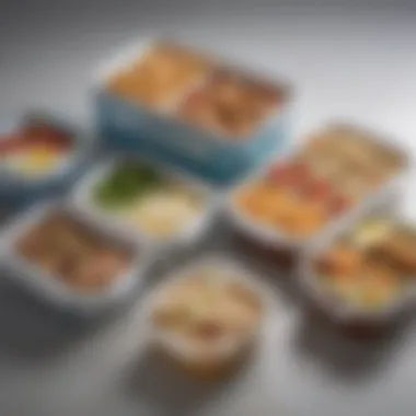 Comparative Analysis of Lunch Box Options Comparison of Amazon Arctic Zone Lunch Box with other lunch boxes