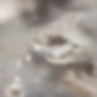 An elegant close-up of cookie dough being scooped with a spoon ready for baking