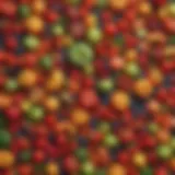 Colorful assortment of fresh fruits and vegetables