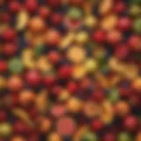 Colorful assortment of fresh fruits