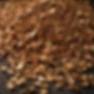 Wood chips and chunks arranged for smoking