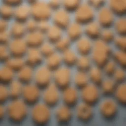 A collection of large cookie cutters in various shapes and designs arranged artistically.