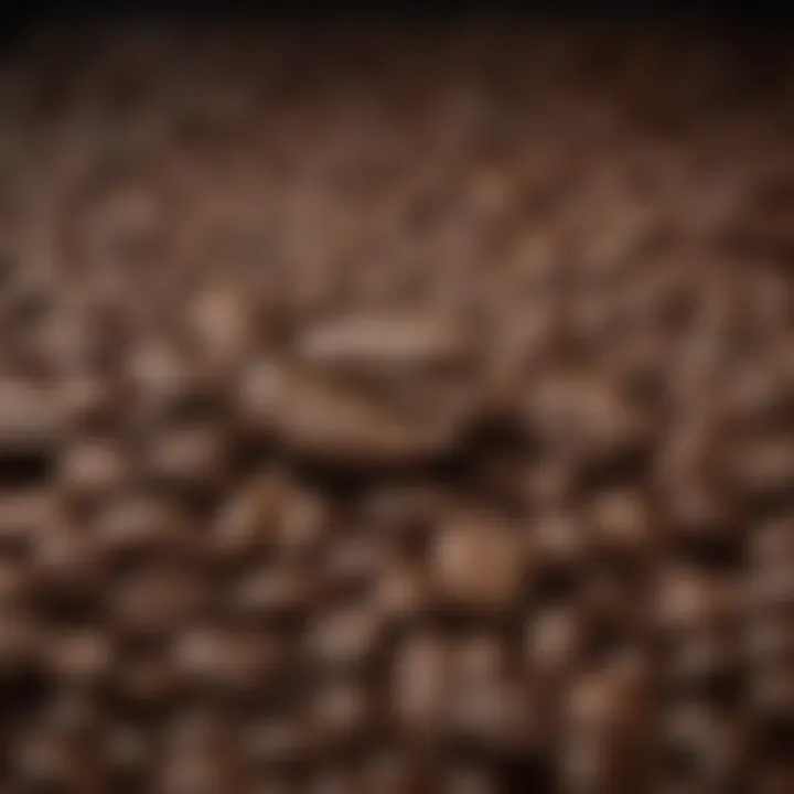 Variety of coffee beans suitable for Brim espresso machines