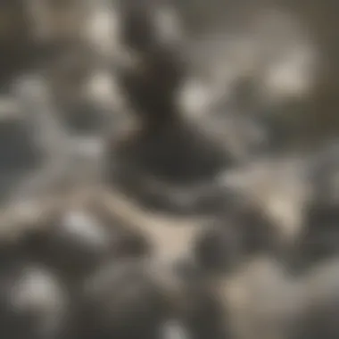 The Consistent Form of Briquettes Briquettes arranged neatly showcasing uniformity