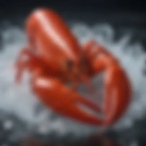 Fresh lobster on ice showcasing quality seafood