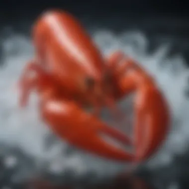 Quality Fresh Lobster Fresh lobster on ice showcasing quality seafood