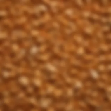 Close-up view of finely granulated chicken flavoring showcasing texture and color