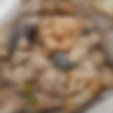 Overview of Chicken McNuggets ingredients