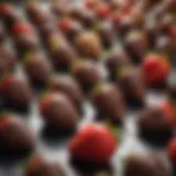Gourmet chocolate covered strawberries arranged artistically