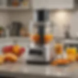 Comprehensive Analysis of the Hamilton Beach 70730 Food Processor Introduction