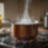 Boiling water in a pot on a stove