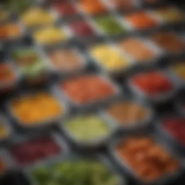 Meal Containers for Streamlined Storage Colorful meal prep containers arranged neatly