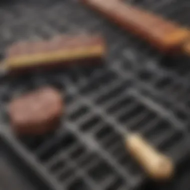Essential Maintenance Tools for Grill Grates Illustration of maintenance tools suitable for porcelain coated grill grates