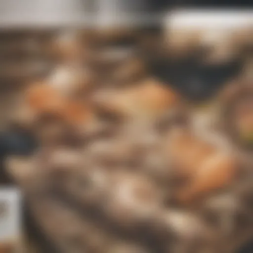 A variety of poultry types arranged artistically on a wooden table