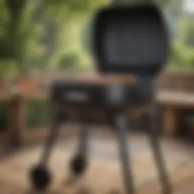 Sleek and Advanced Weber Grill A modern Weber grill showcasing sleek design and advanced features