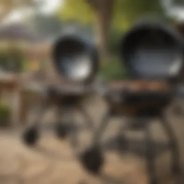 Diverse Range of Weber Grills A variety of Weber grill types displayed outdoors
