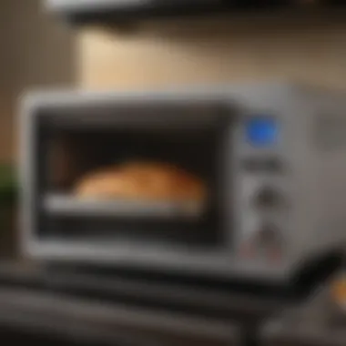 Convection toaster oven in action with food inside