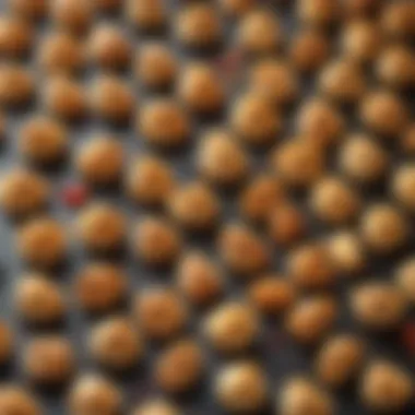 Creative Fillings for Delight A selection of creative fillings for fortune cookies displayed on a table