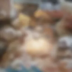 Collection of natural soap ingredients
