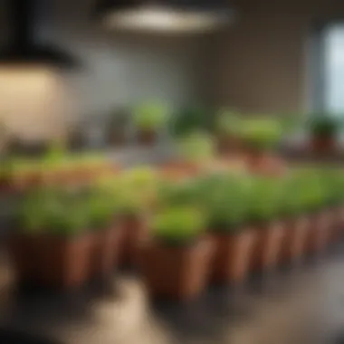 Diverse Indoor Vegetable Pots Diverse selection of pots with various indoor vegetables