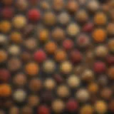 Variety of dehydrated food options for survival