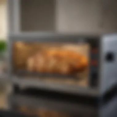 Culinary Excellence Achieved with Advanced Technology A beautifully plated dish made using the smart toaster oven.
