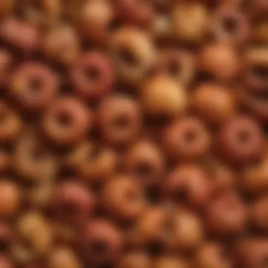 Close-Up of Dried Apples Close-up of the texture of dried apples.