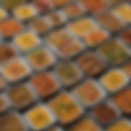 A vibrant assortment of vegan microwavable meals displayed in eco-friendly packaging.