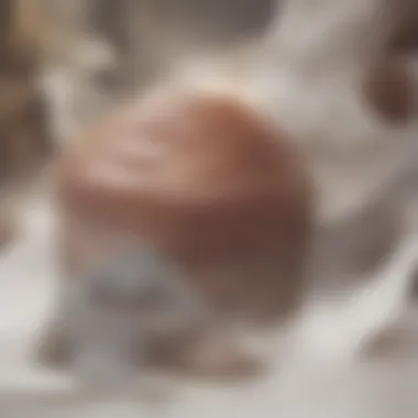 Nutritional Insights of Cinnamon Buns Nutritional facts of popular cinnamon bun brands