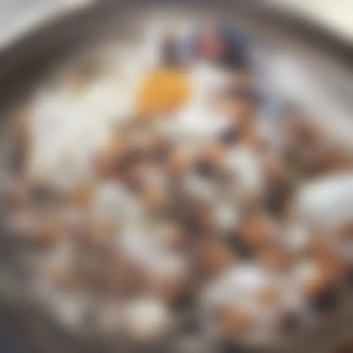 A spread of various dishes featuring plain yogurt as an ingredient.