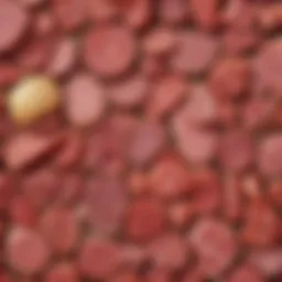 A variety of fatty meats showcasing different textures and colors