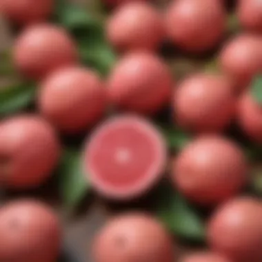 Fresh pink guava paired with assorted culinary ingredients