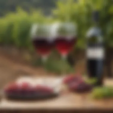 Innovations in Winemaking Vineyards showcasing innovative grape varieties