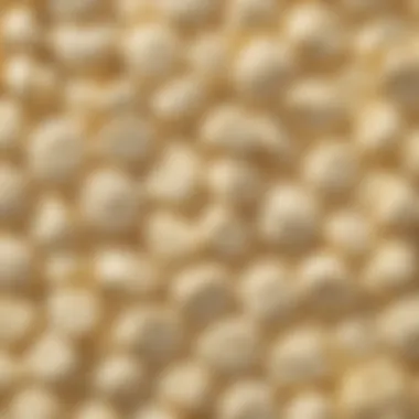 Comparison of Traditional and Healthy White Chocolate Options Comparison of traditional and healthy white chocolate options