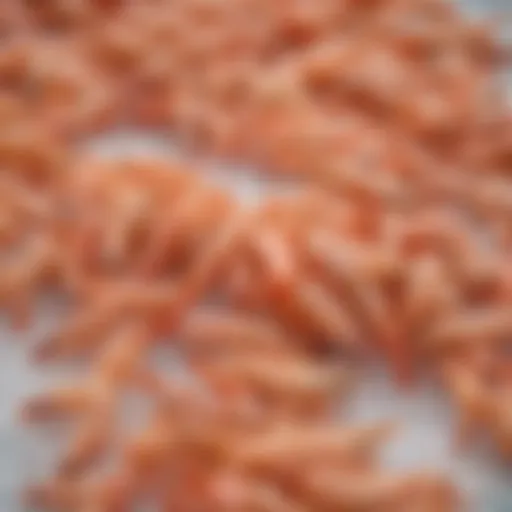 A selection of fresh shrimp varieties displayed on ice