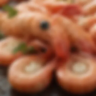 Quality Shrimp Detailing Close-up of shrimp showcasing its quality and texture