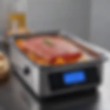 Precision Temperature Control in Sous Vide Sous vide water bath setup showcasing precision temperature control for perfect cooking