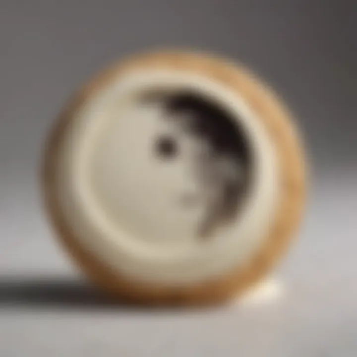 Close-up of a black and white cookie highlighting its cream filling