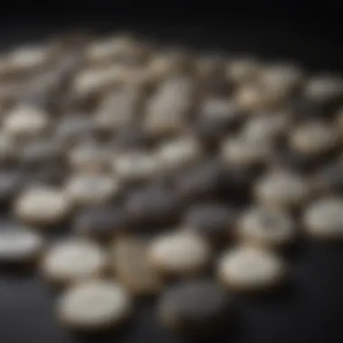Selection of Black and White Cookies from Top Vendors A selection of black and white cookies from various vendors