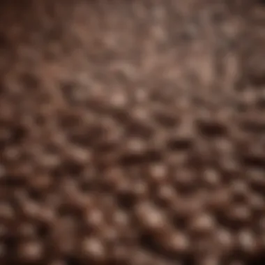 Quality Sourced Coffee Beans Coffee beans sourced from quality plantations