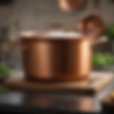 Maintaining the Beauty of Copper Cookware A well-maintained copper pot demonstrating the care needed for longevity