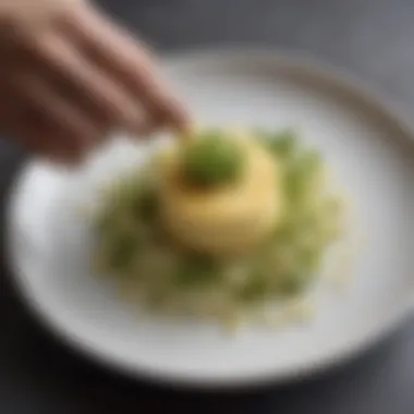 A chef elegantly garnishing a dish with sprout cheese