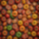 A vibrant assortment of heirloom tomatoes showcasing their unique shapes and colors.