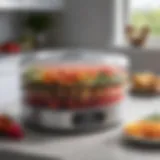 Exploring the Nesco 75A Food Dehydrator: A Comprehensive Guide Introduction