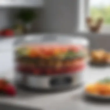 Exploring the Nesco 75A Food Dehydrator: A Comprehensive Guide Introduction Exploring the Nesco 75A Food Dehydrator: A Comprehensive Guide Introduction