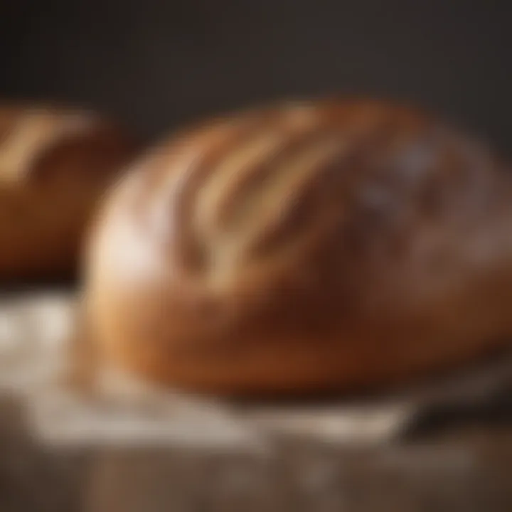 Close-up of freshly baked bread made in the Oster machine