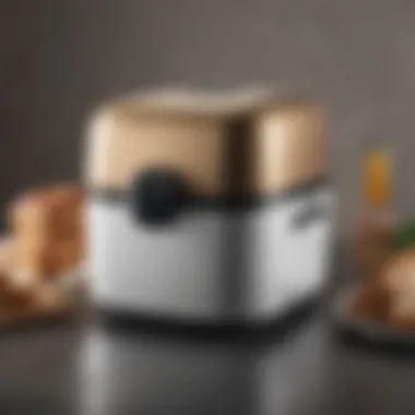 Oster bread maker showcasing its sleek design and user-friendly interface