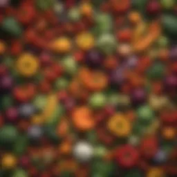 A vibrant and colorful array of fresh vegetables