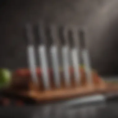 An array of high-quality knives neatly arranged within the Shun Block.